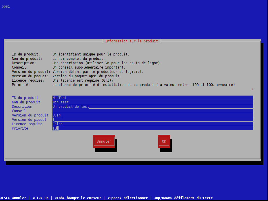 Screenshot: Entrée de l'information produit