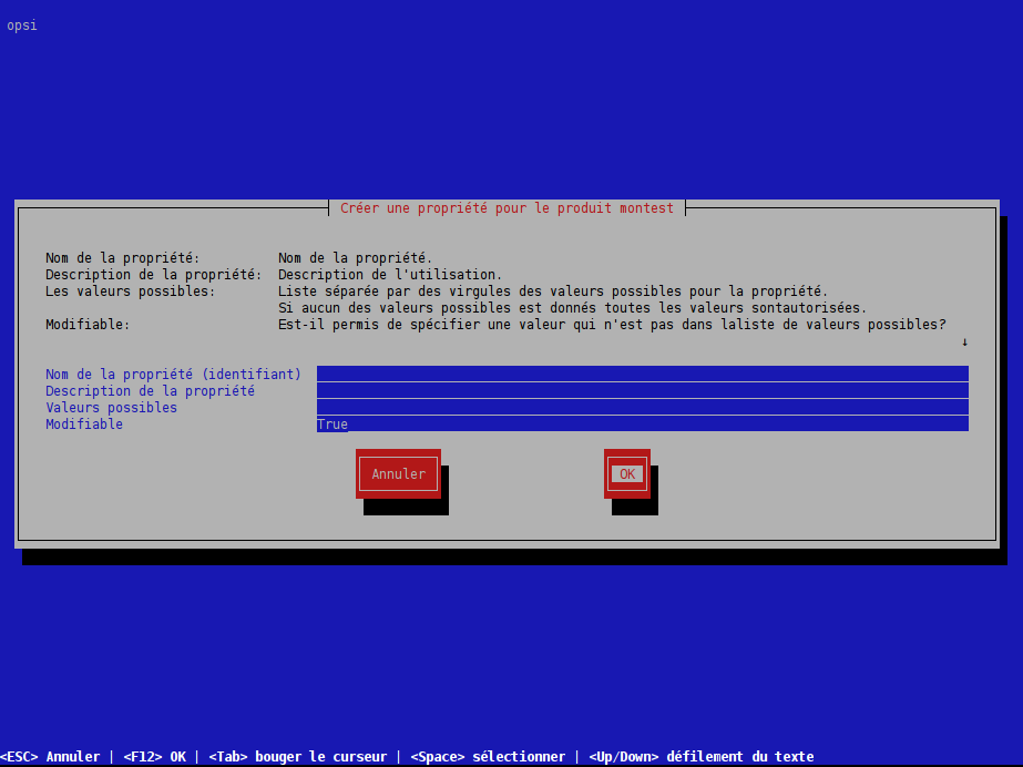Screenshot: Description des propriétés du produit